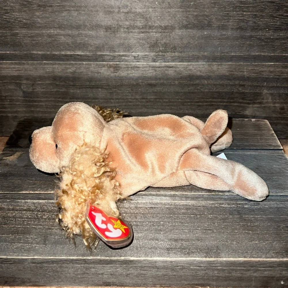 Ty Beanie‎ Baby Spunky the Cocker Spaniel w/ tag errors